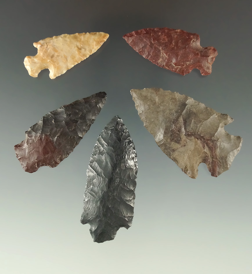 Set of five assorted arrowheads found in Oregon, largest is 1 13/16".