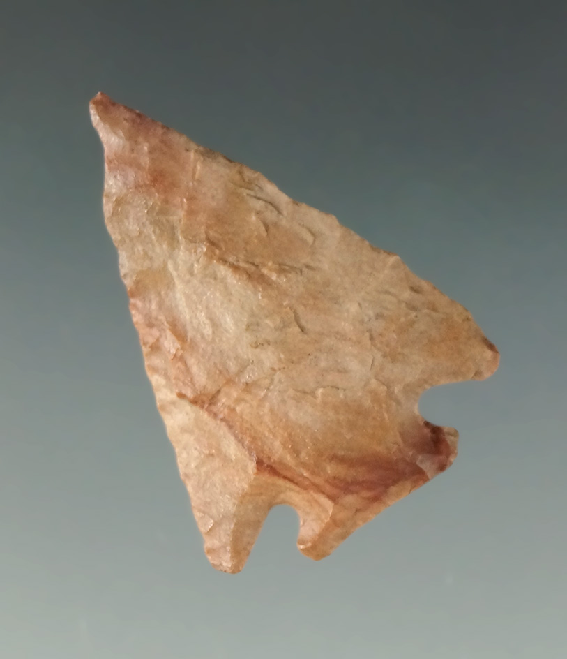 1 5/16" Pelican Lake. Ex. Bubenzer Collection, Museum of NA History.