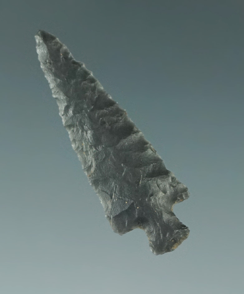 1 1/4" well styled Rose Spring found in Oregon.