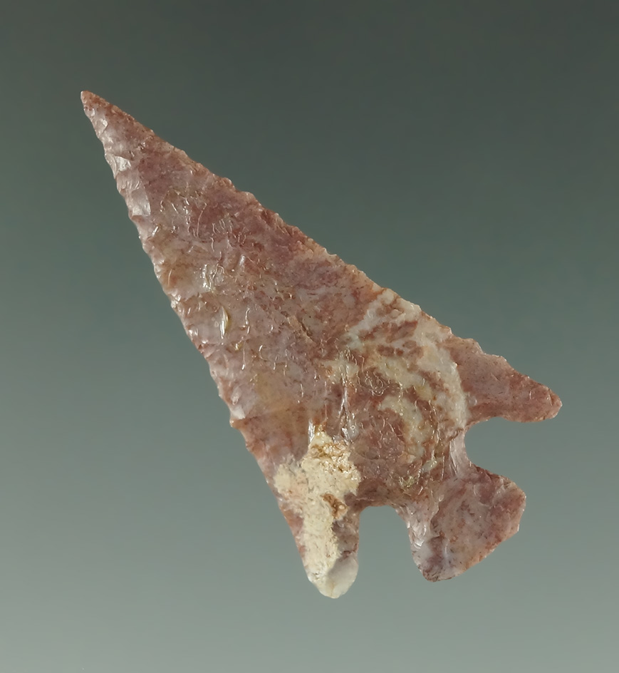 1 7/16" Scallorn that is very well flaked from Alibates Flint.