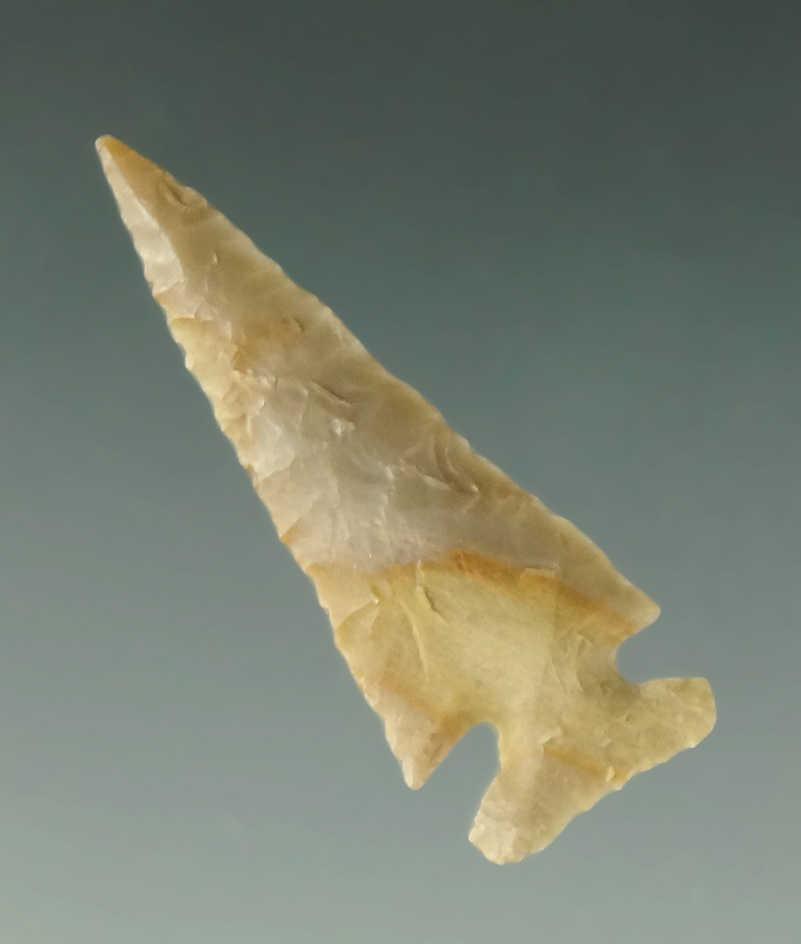 1 3/8" Sorter's Bluff Point. From the Charles Shewey Collection, Museum of NA History.