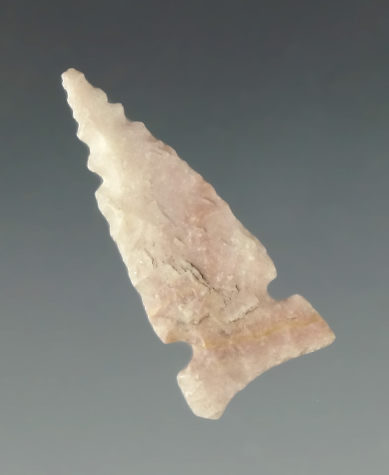 1 1/8" Caracara from the Charles Shewey Collection, Museum of NA History.