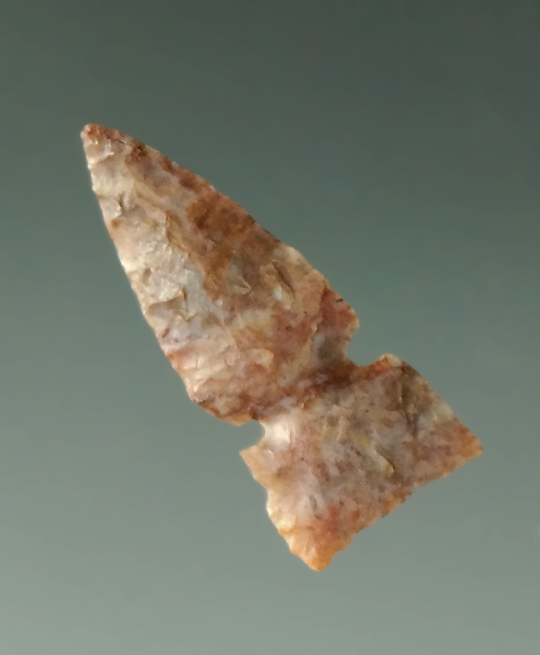 Thin 1" Sidenotch made from Alibates Flint found in the Texas Panhandle area.