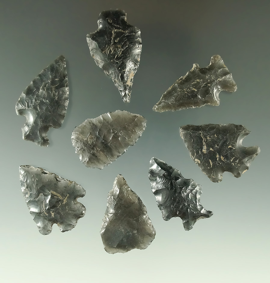 Set of eight Obsidian arrowheads found in Oregon, largest is 1 3/8".