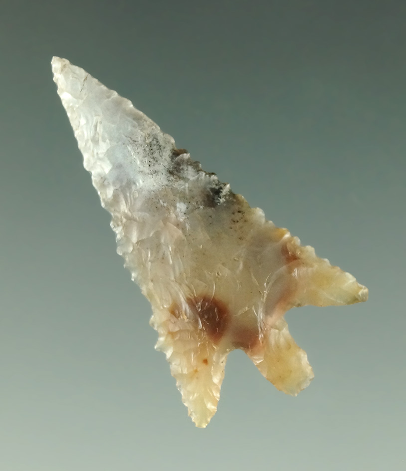 1 5/16" Wallula that is perfectly flaked, found near the John Day River by Kaye Don Bruce.