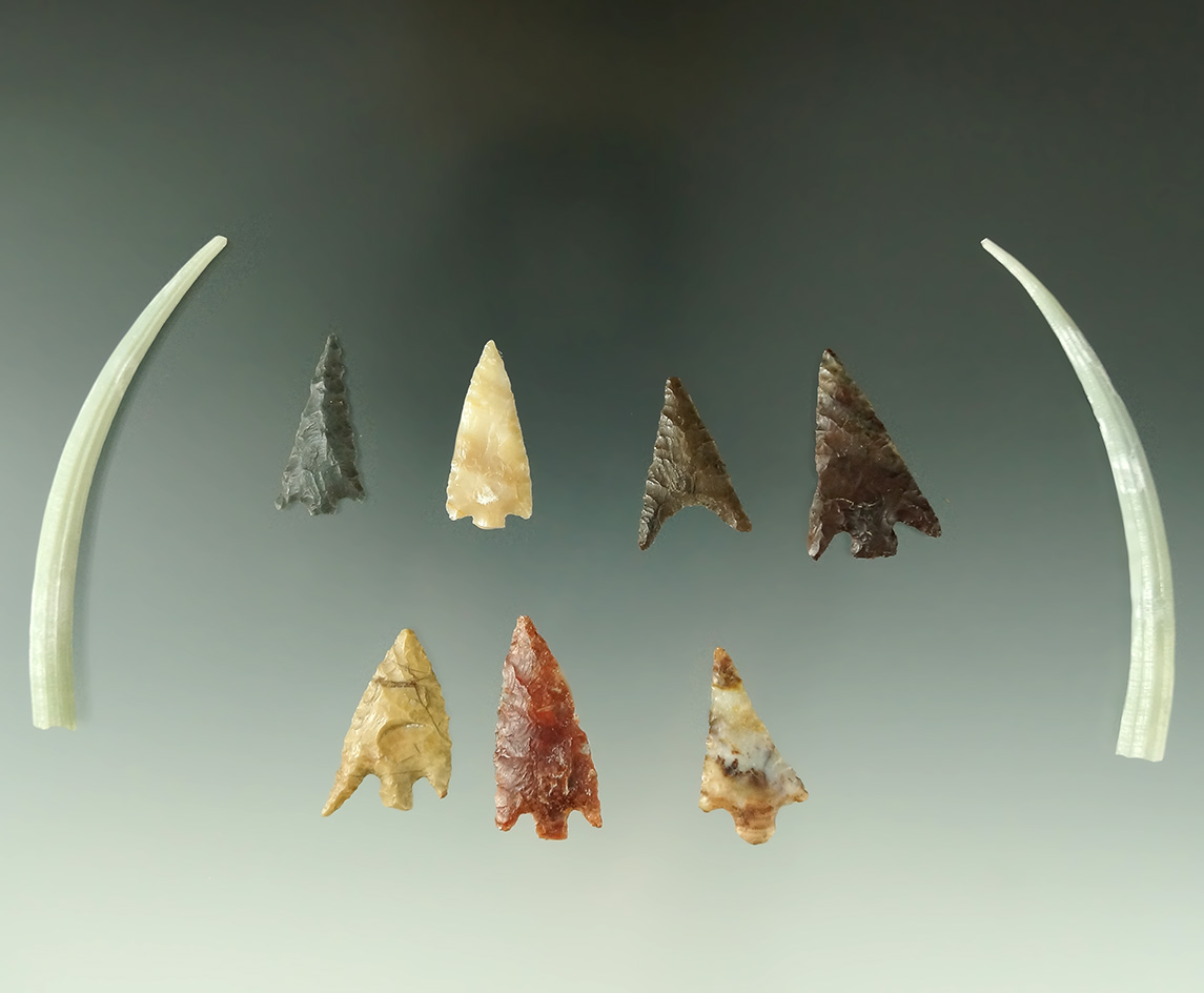 Group of assorted Gempoints found in Oregon, largest is 1 3/16".