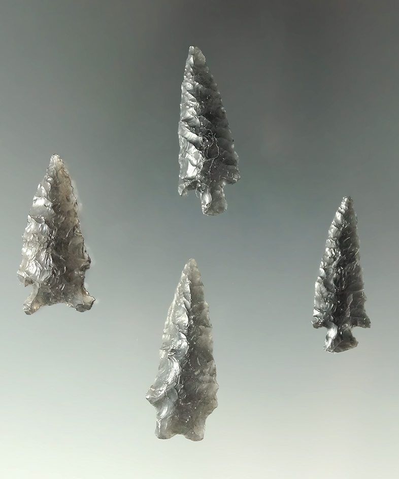 Set of four Obsidian arrowheads found near Fort Rock, Oregon, largest is 1 1/8".