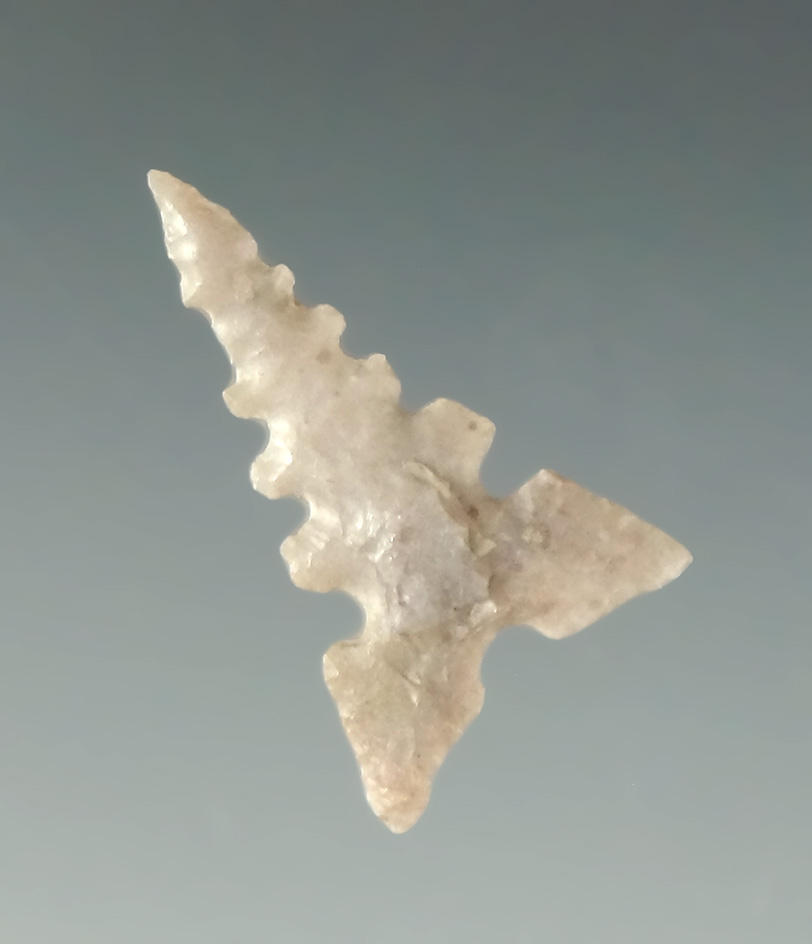 15/16" Toyah with nice serrations. Ex. Charles Shewey, Museum of NA History.