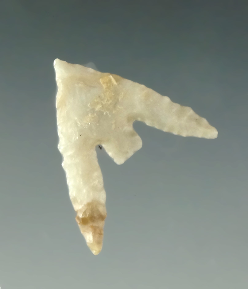 Exceptional 15/16" Gunther found in Oregon. Pictured. From the Museum of NA History.