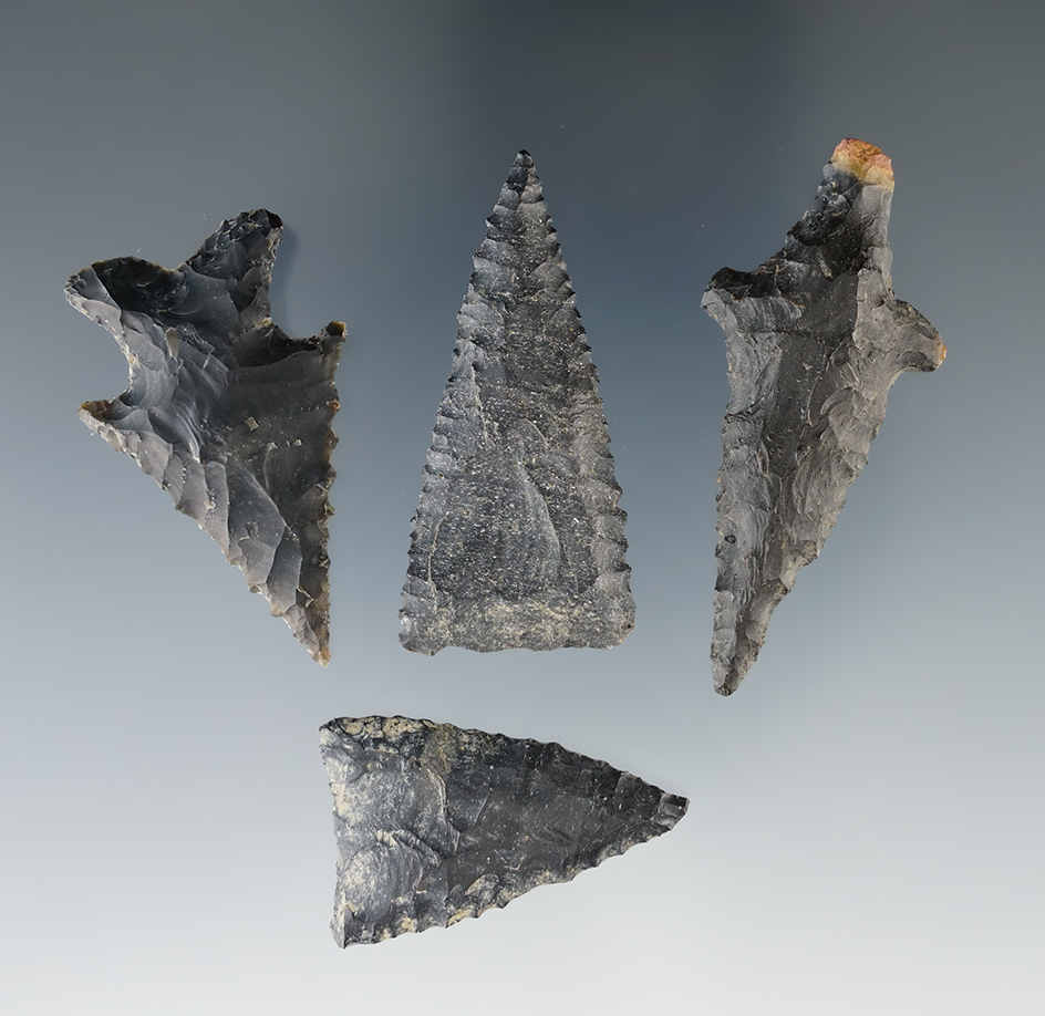 Set of four Texas area flaked points, largest is 1 7/8".