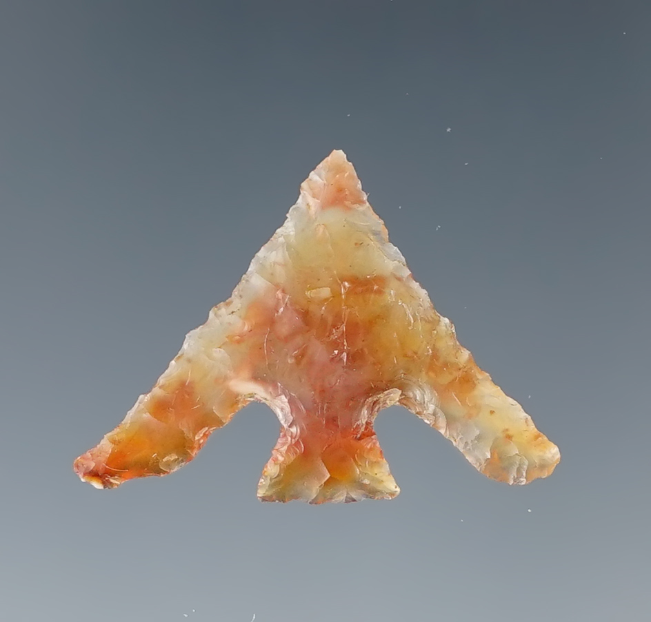 Exceptional! 3/4" tall by 1" wide Columbia Plateau found near Plymouth Washington