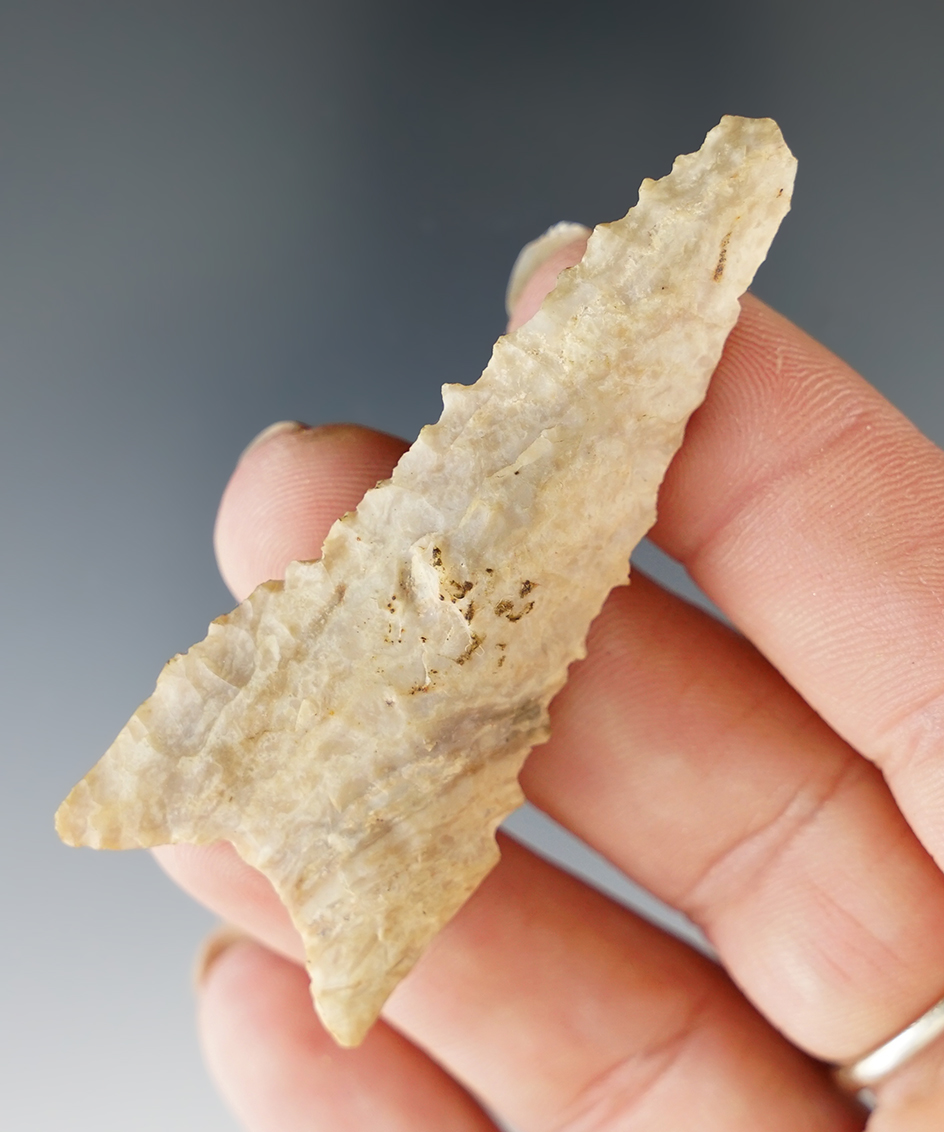 2 1/2" serrated Dalton found in Illinois.