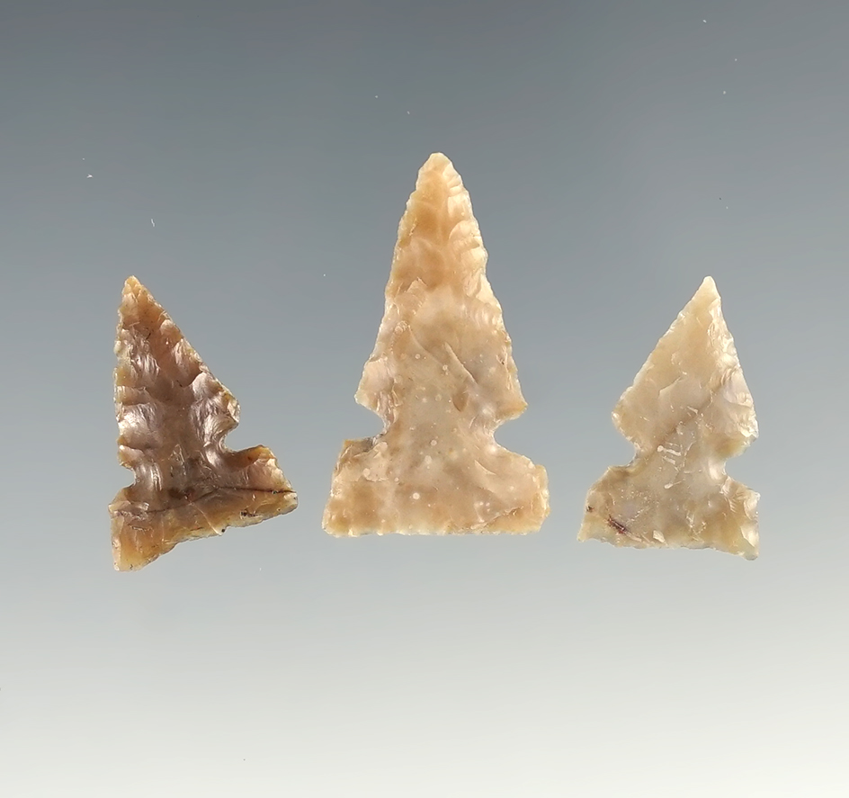Set of three Sidenotch points found near the Columbia River. Largest is 1 1/8".