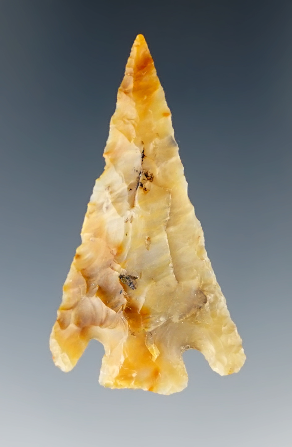 Excellent style on this 1 13/16" Quilomene Bar made from Multi-color petrified wood - Washington.