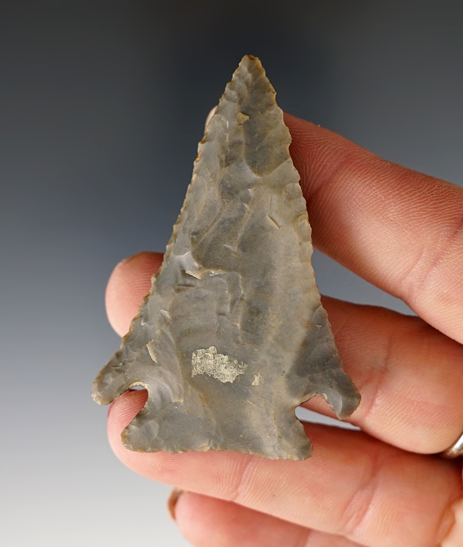 Excellent flaking in style on this 2 5/16" archaic bevel found in Vigo Co., Indiana.