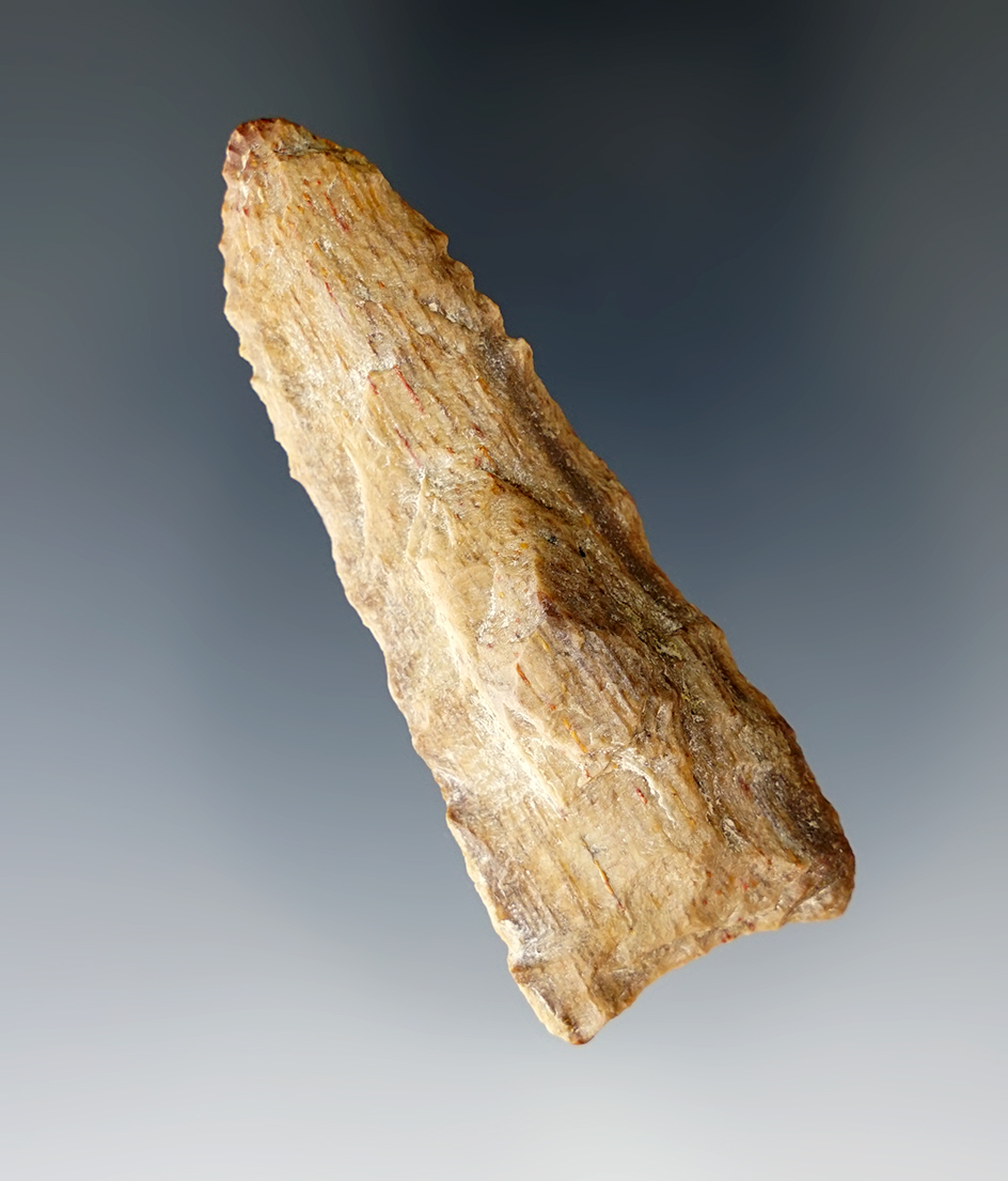 2 1/2" Petrified Wood Knife found in Texas.