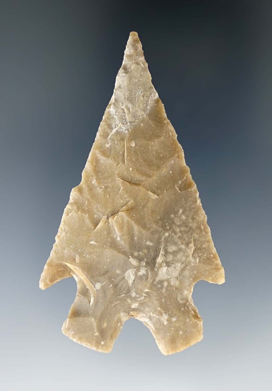 2 3/8" Montell made from Edwards Chert, found in Bandera Co., Texas. Bill Arnold COA.