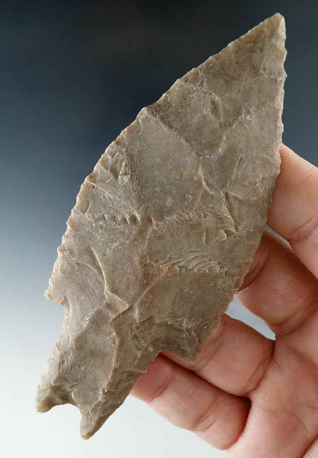 Large and nice! 4 5/16" Pedernales point found near Temple, Bell Co., Texas.