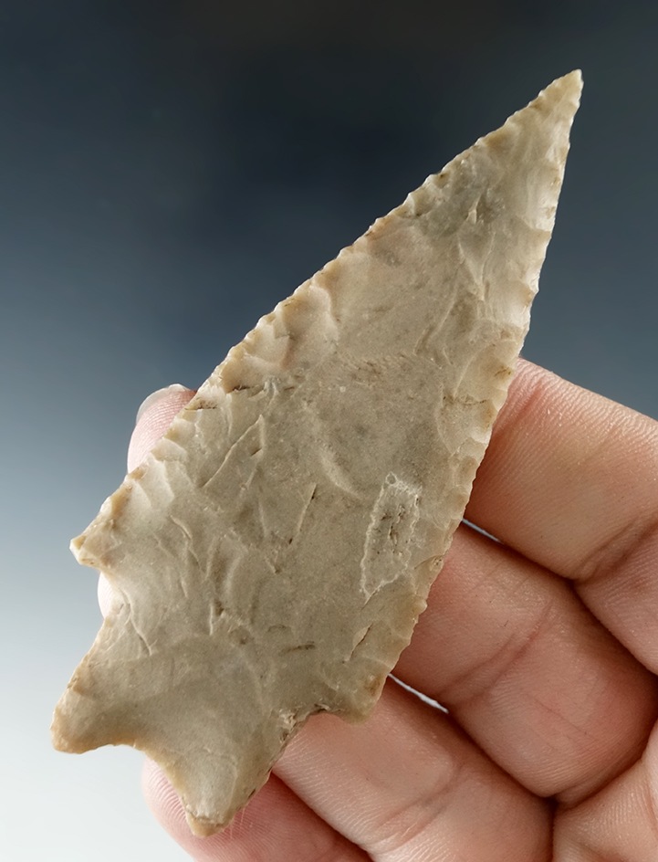 3 3/16" Pedernales point that is nicely flaked from quality material found in Uvalde Co., Texas.