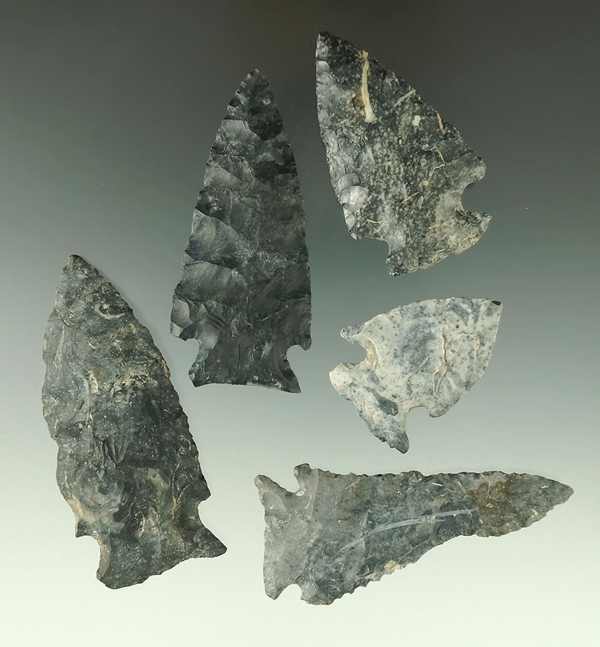 Set of five assorted Coshocton Flint arrowheads found in Ohio, largest is 2 3/4".