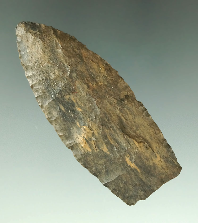 2 1/2" Coshocton Flint Paleo Lanceolate found in Coshocton Co., Ohio. Very nice color pattern to Fli