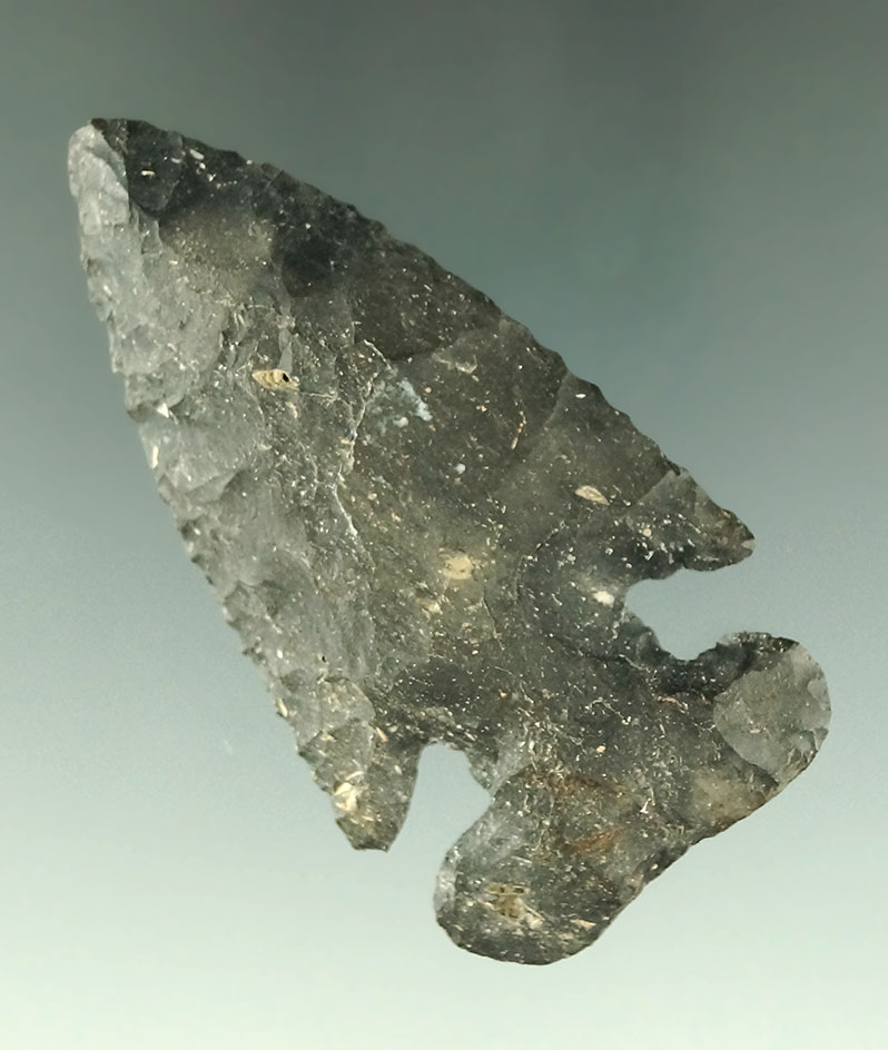 2 1/2" Coshocton Flint Archaic Thebes E Notch found in Ohio. Comes with a Bennett COA.