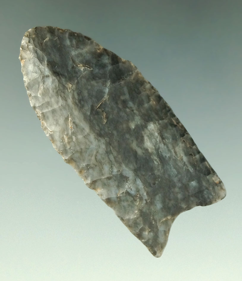 2 1/8" Paleo fluted Clovis made from Coshocton Flint found in Morrow Co., Ohio.  Bennett COA.