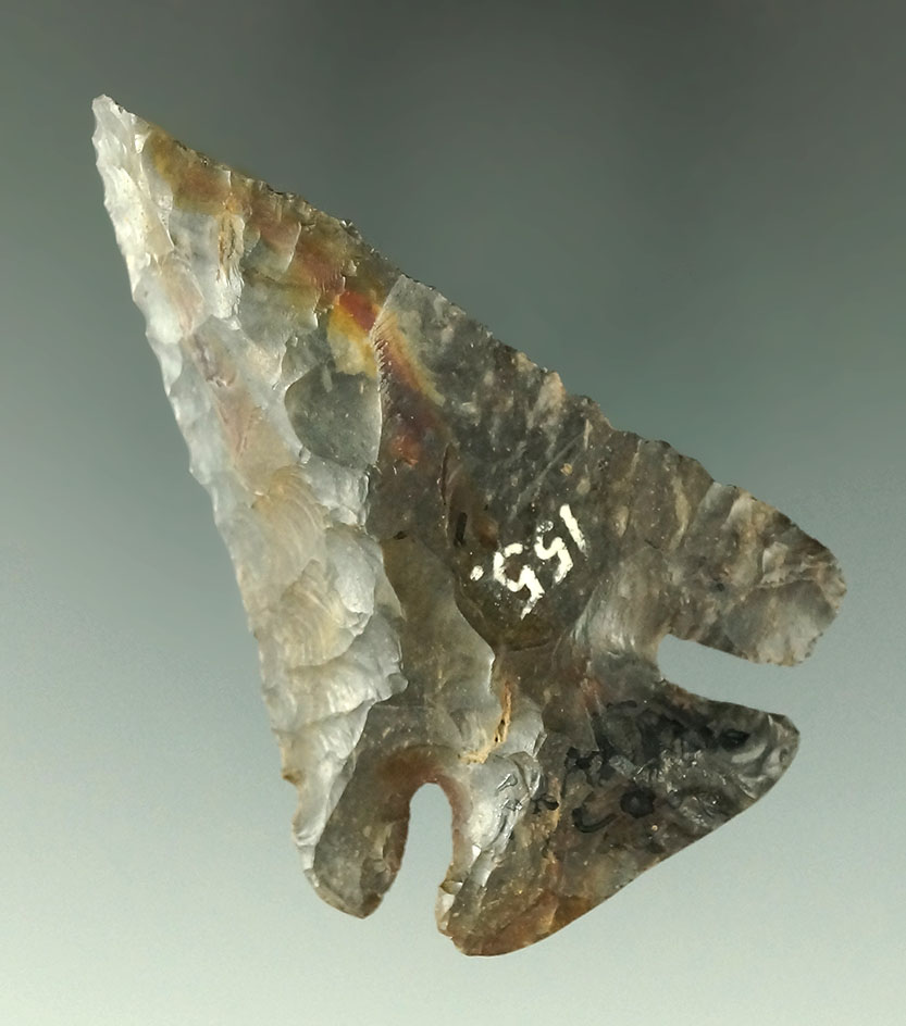 2 5/8" colorful Coshocton Flint Deep Notch Bevel found in Franklin Co., Ohio. Ex. Dean Driskill.