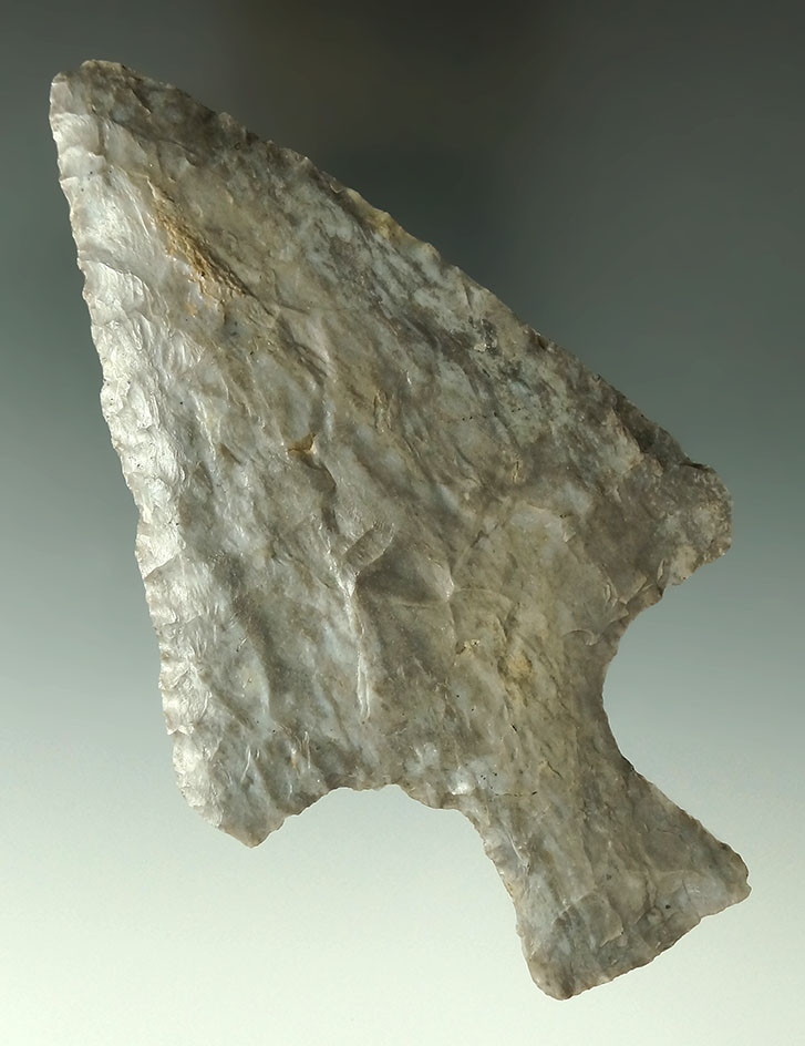 Very large 5 1/2" Coshocton Flint Ashtabula found in Sandusky Co., Ohio. Pictured in Chapa #1.
