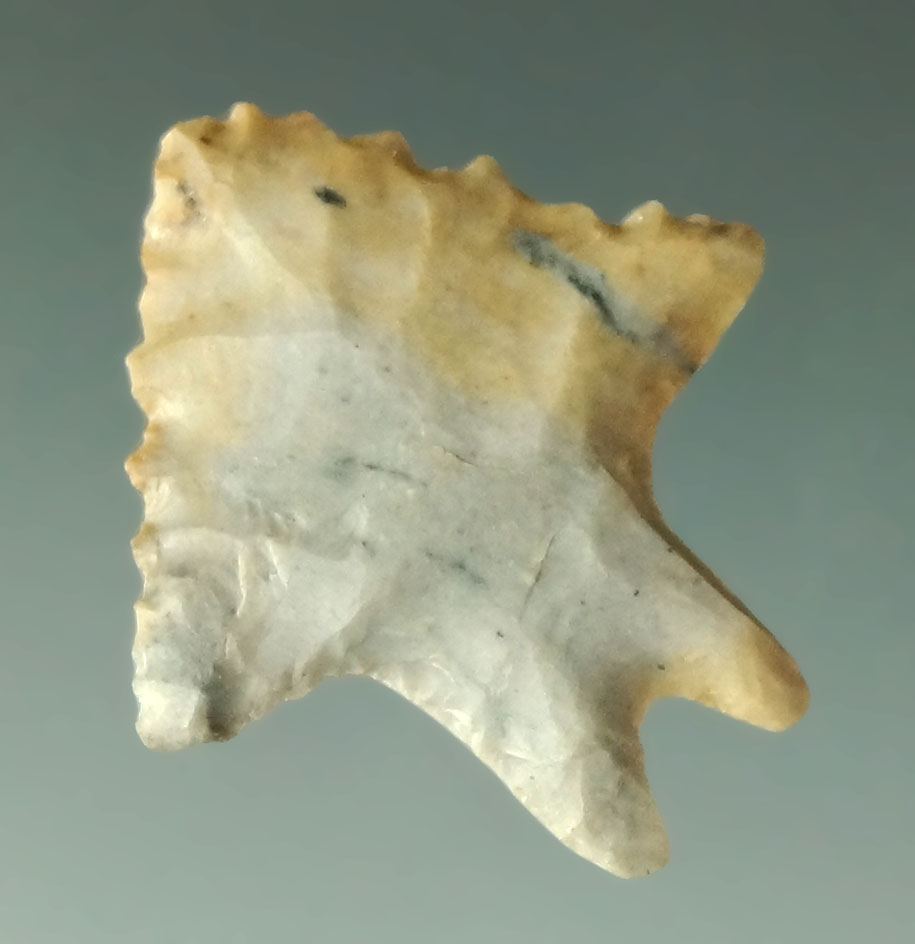 Very nice! 1 1/8" burinated base Lake Erie Bifurcate  with nice edge serrations found in Ohio.