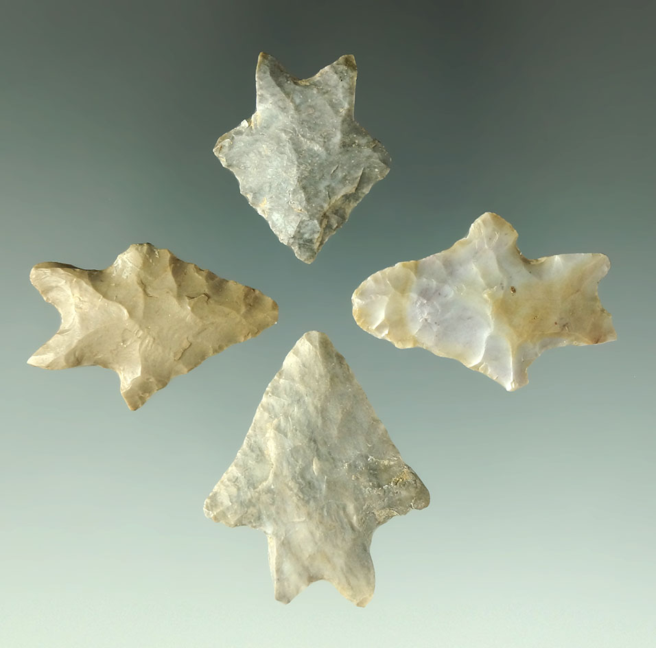 Set of four burinated base Lake Erie Bifurcates found in Ohio. Largest is 1 1/4".