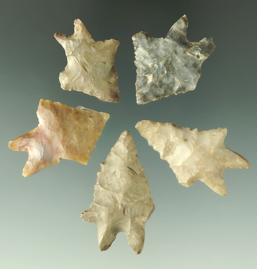 Set of five burinated base Lake Erie Bifurcates found in Ohio. Largest is 1 1/2".