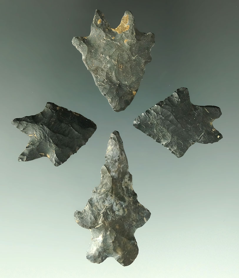 Set of four burinated base Lake Erie Bifurcates found in Ohio. Largest is 1 1/2".
