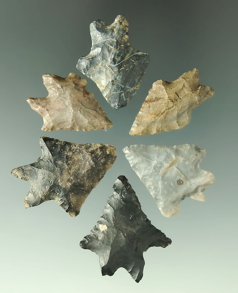 Set of  six burinated base Lake Erie Bifurcates found in Ohio. Largest is 1 1/8".