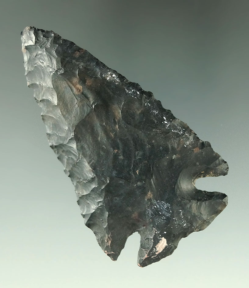 2 7/8" high grade Coshocton Flint Dovetail with restoration to one ear and one basal corner.  Ohio.