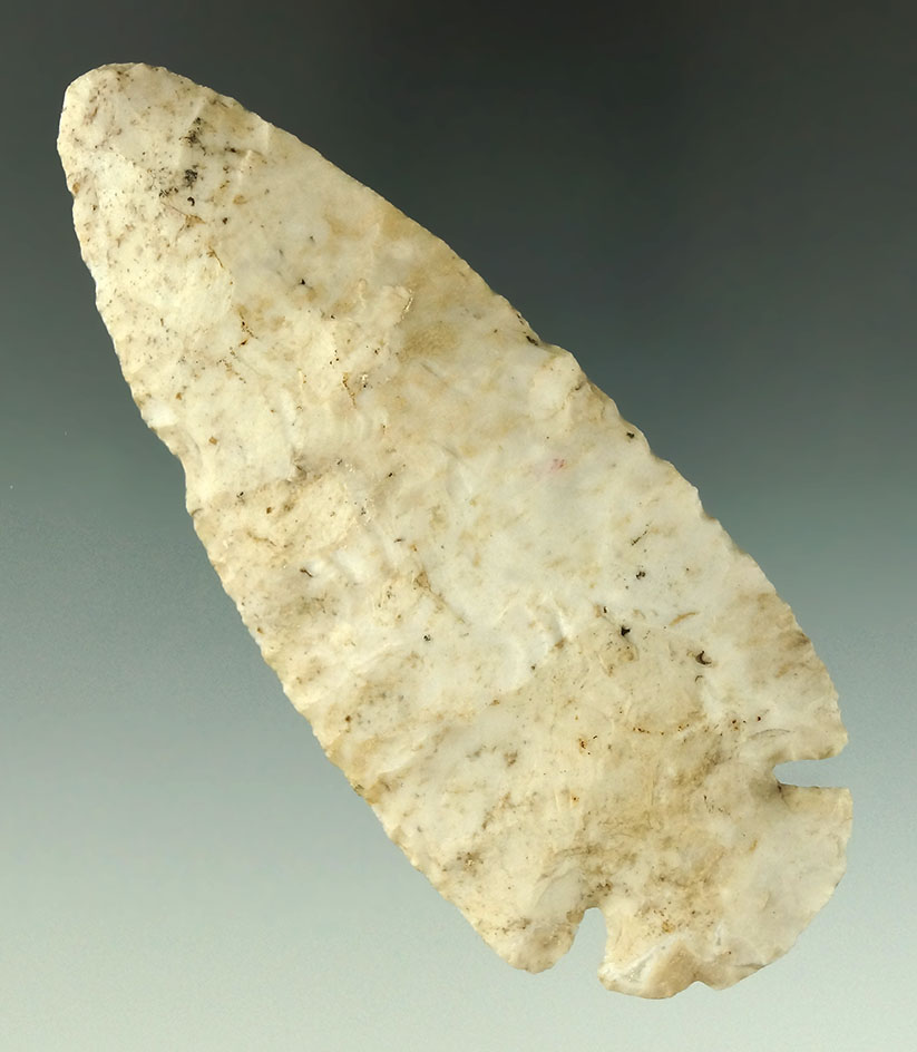 Heavily patinated 4 1/16" Dovetail found in Ohio with excellent mineral deposits on surface.