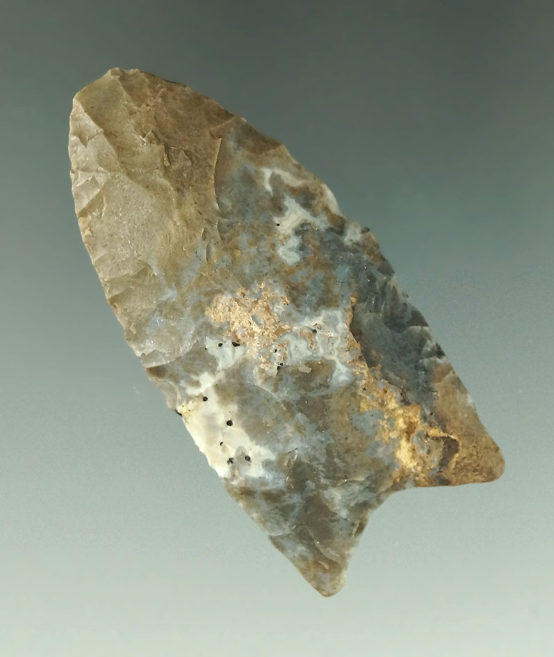 2 3/16" Paleo Fluted Clovis made from attractive multi-colored Flint found in Kentucky. Bennett COA.