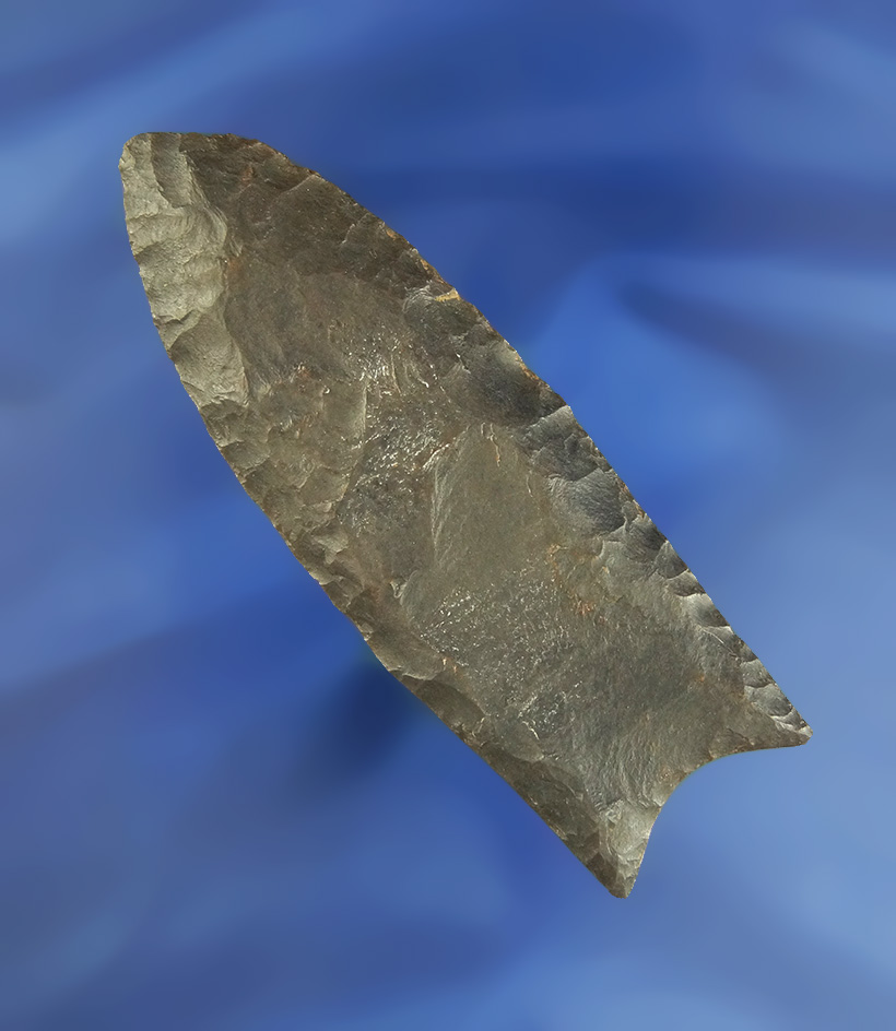 3 1/4" classic style Fluted Paleo Clovis  found in Scioto Co.,   Bennett COA.