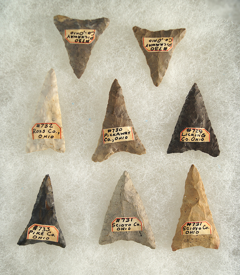 Set of eight Mississippian Triangle Arrowheads, largest is 1 5/8". All found in Ohio.