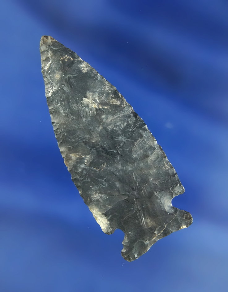 Very thin and well flaked 2 5/16" Coshocton Flint Intrusive Mound Point found in Hancock Co.,  Ohio.