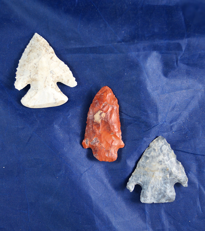 Set of 3 Arrowheads found in Wayne and Knox Co.,  Ohio, largest is 2".