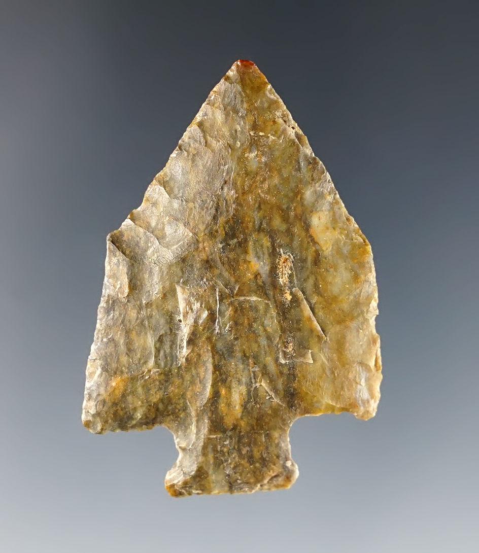 Fine example of a Pentagonal. Found in Madison Co., Ohio. Ex. Bill Likens collection.