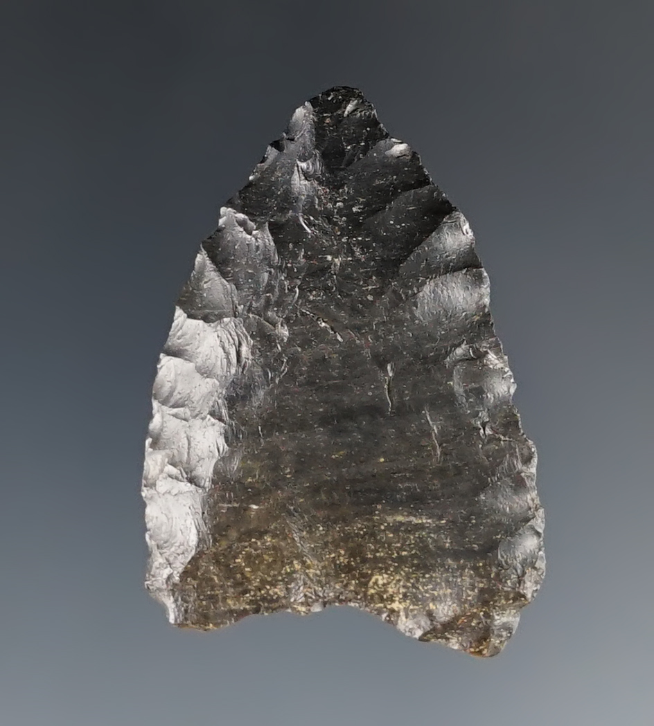 1 1/2" Paleo Dart Point. Nicely patinated with flute on one side. Found in Ohio. Ex. Hawks.