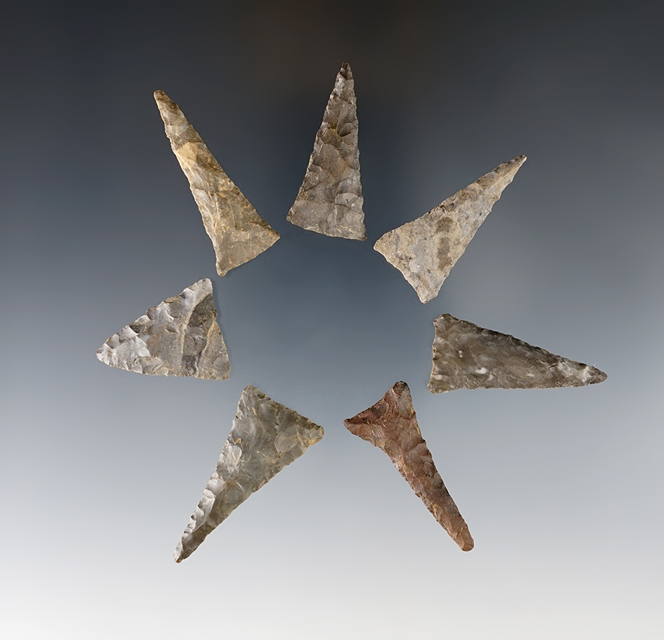 Set of 7 well flaked and nicely styled Ohio Triangle Points. The largest is 1 5/8".