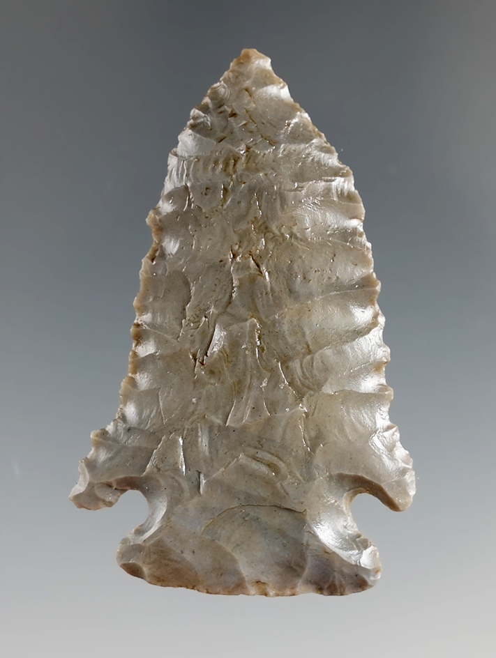 2 1/4" well flaked Pinetree point made from Hornstone - Humphreys Co., Tennessee.  COA.