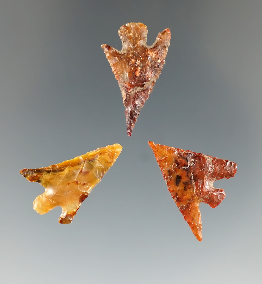 Three Columbia Plateau points found near the Columbia River made from attractive materials