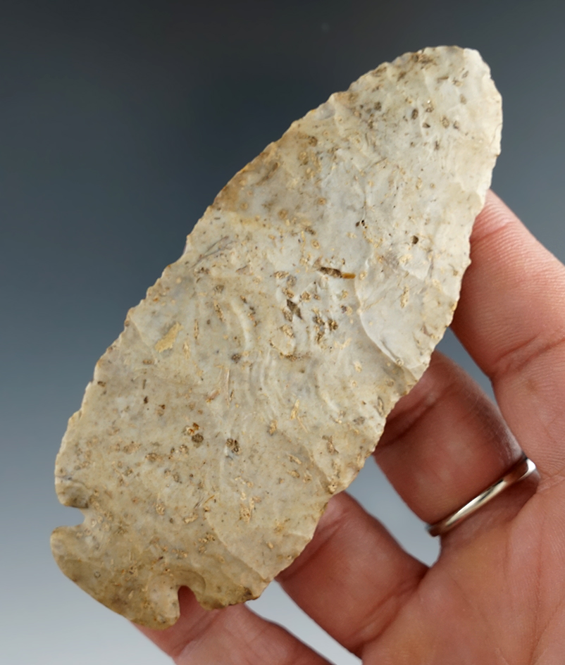 Thin and nice 3 3/4" Dovetail w/great patina and nice mineral deposits on surface. Missouri