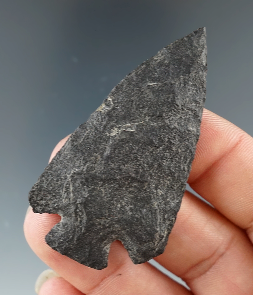 Very nice flaking & style 2 1/4" Quilomene Bar found near Fountain  Bar, Columbia River, WA