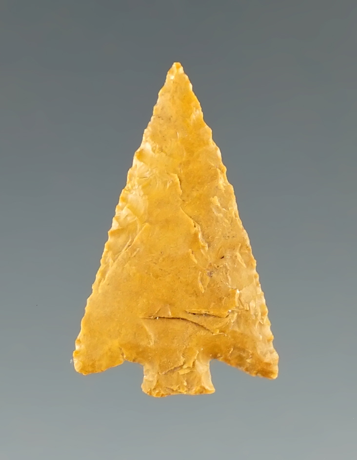 7/8" beautifully flaked Columbia Plateau - yellow Jasper in very nice condition Hood River, OR.