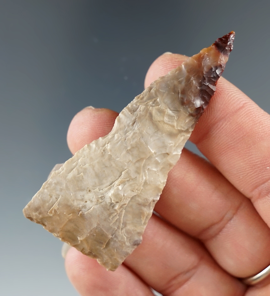 Beautiful material color pattern 2 3/8" silicified wood Plateau  Pentagonal - Umatilla, Oregon.